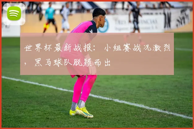 世界杯最新战报：小组赛战况激烈，黑马球队脱颖而出