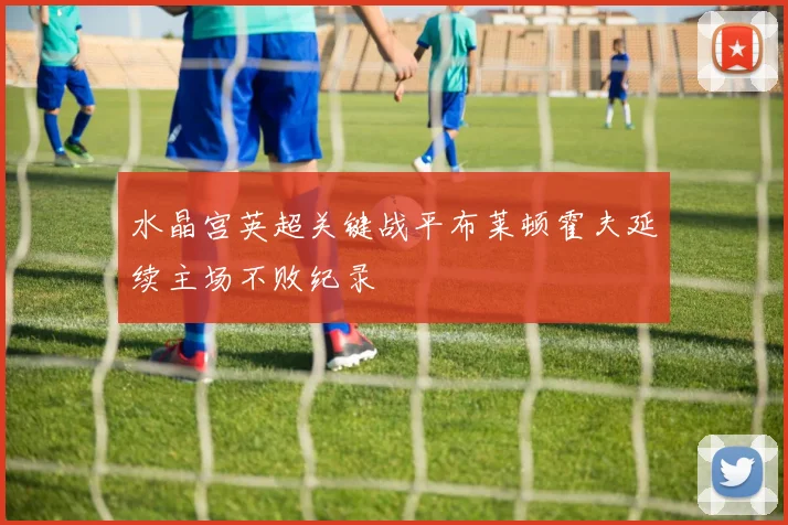 水晶宫英超关键战平布莱顿霍夫延续主场不败纪录