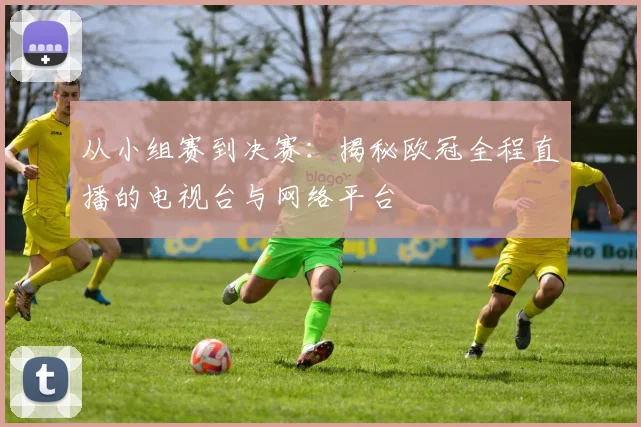 从小组赛到决赛：揭秘欧冠全程直播的电视台与网络平台